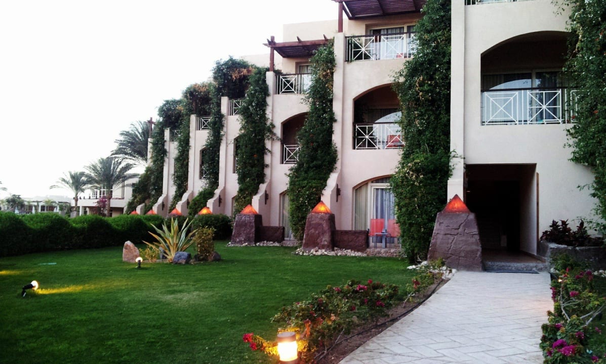 Зелень Prima Life Makadi Resort
