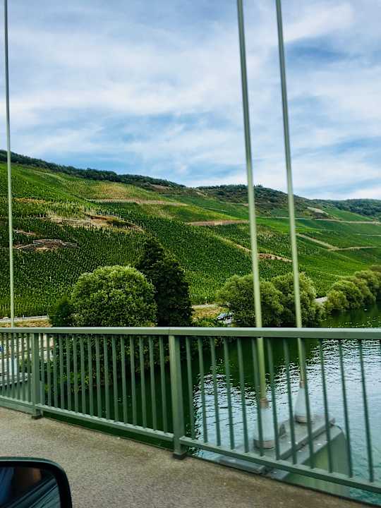 Ausblick Moselschlösschen Spa & Resort