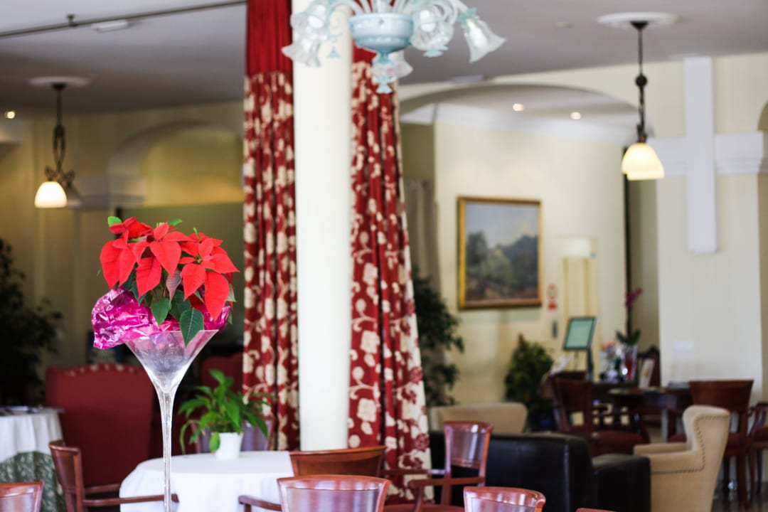 Hotel Ciutat Jardi  Hotel Ciutat Jardi