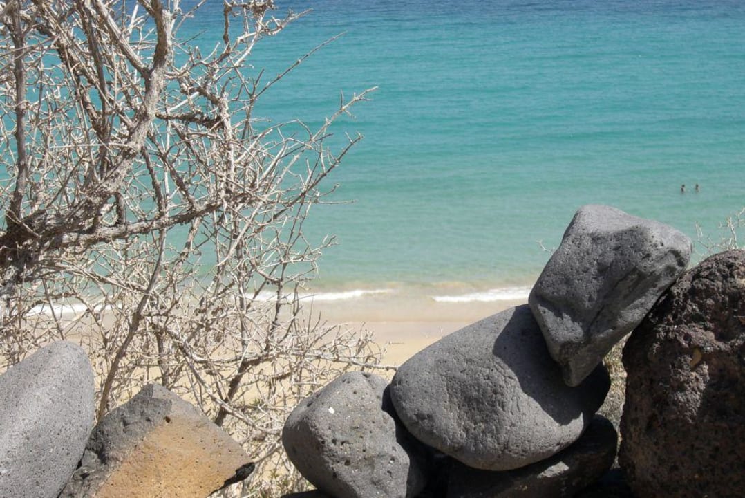 Blick auf´s Meer allsun App.-Hotel Esquinzo Beach