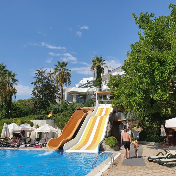 Pool Side Star Elegance