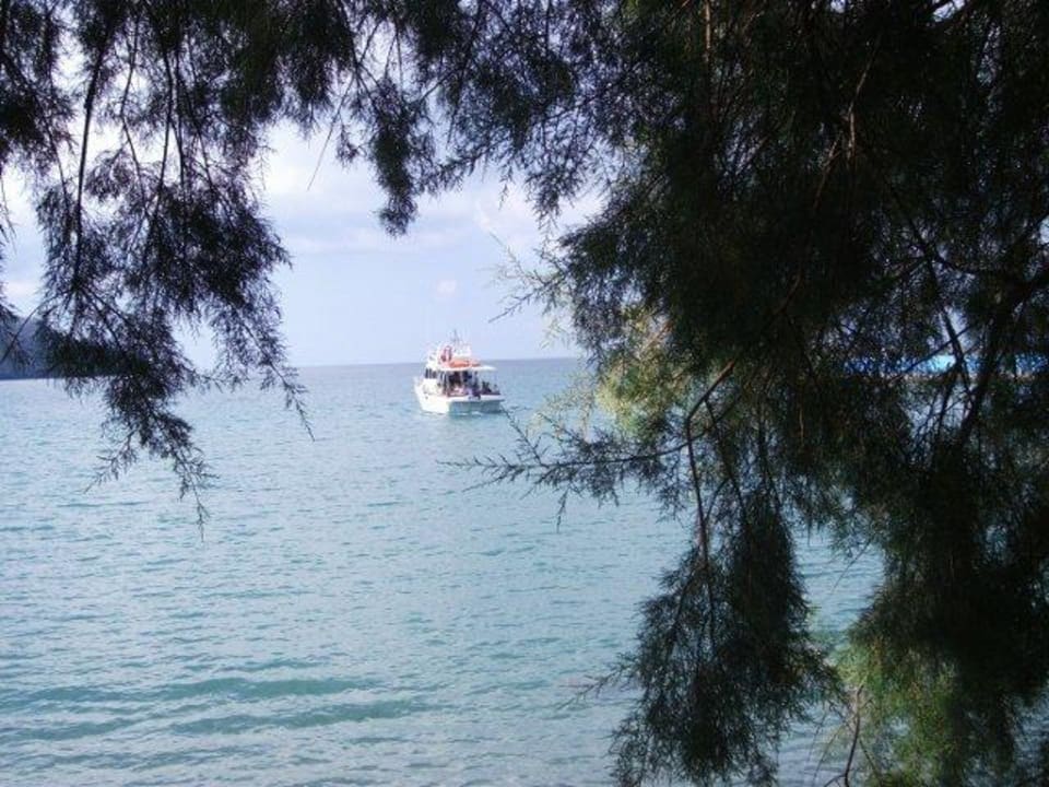 Blick vom Strand Alianthos Beach Hotel