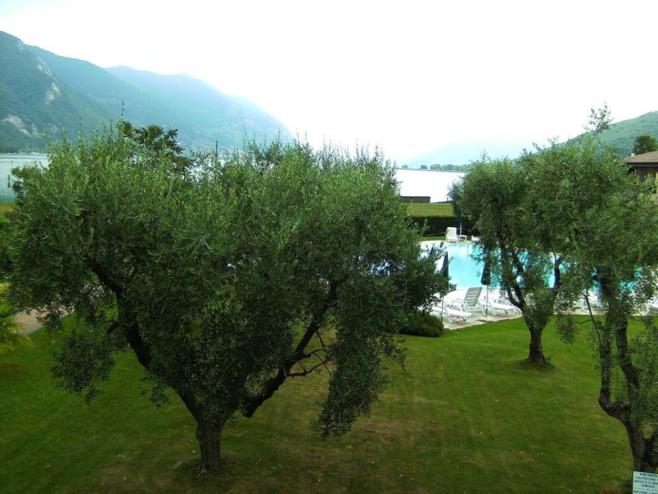 Hotel Ulivi - Aussicht auf Gartenanlage Hotel Ulivi