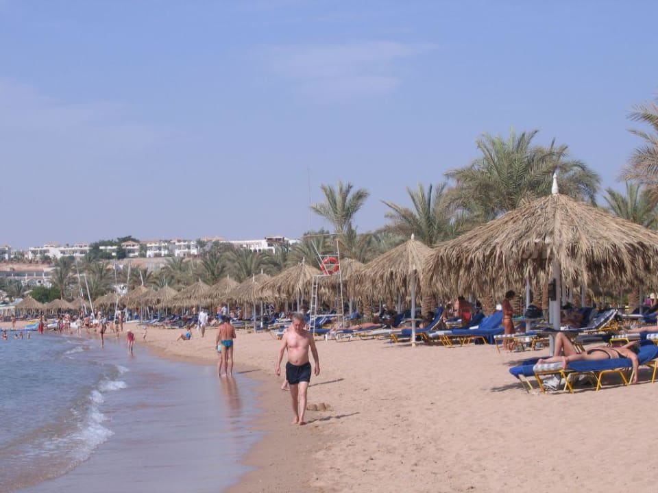 Погода в египте шарм-эль-шейх сегодня. Погода в шарм-эль-шейх сейчас. Погода шарм эль шейх сегодня. Egypt шарм эль шейх. Старый город шарм-эль-шейх.