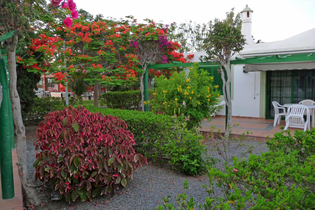 Blick von der Terrasse Bungalows Cordial Sandy Golf