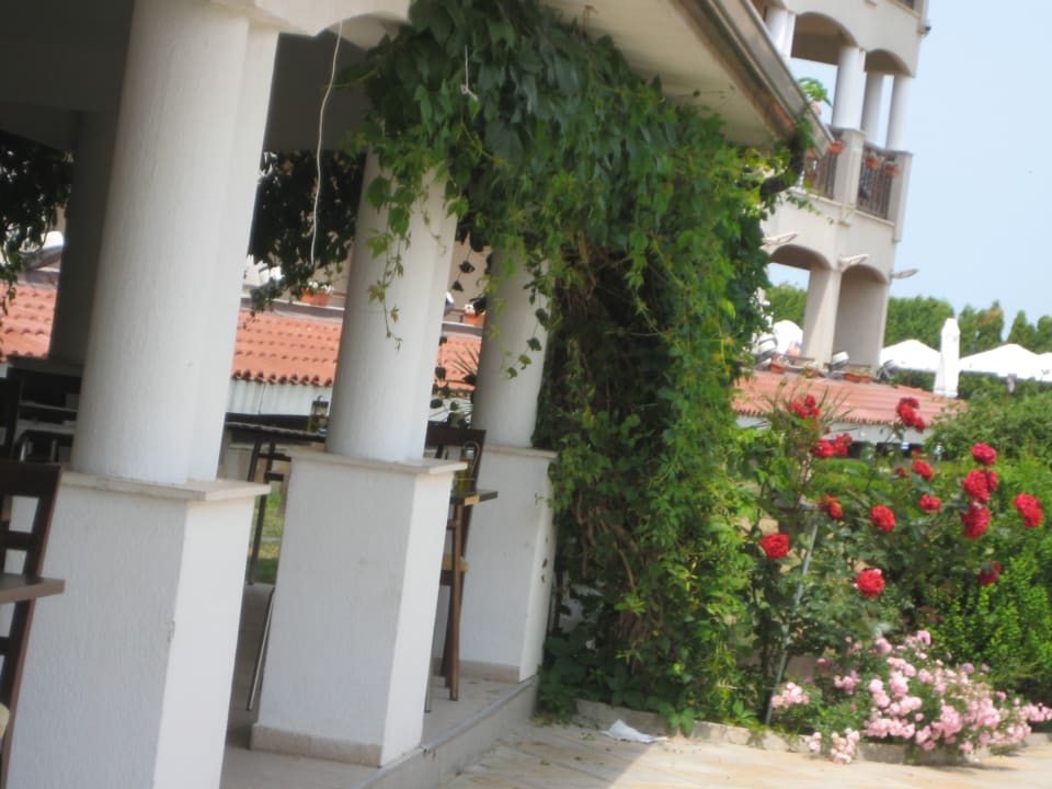 Gastro Hotel Cazablanka / Casablanca