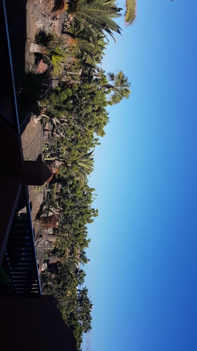 Anlage  Hotel Oasis Royal