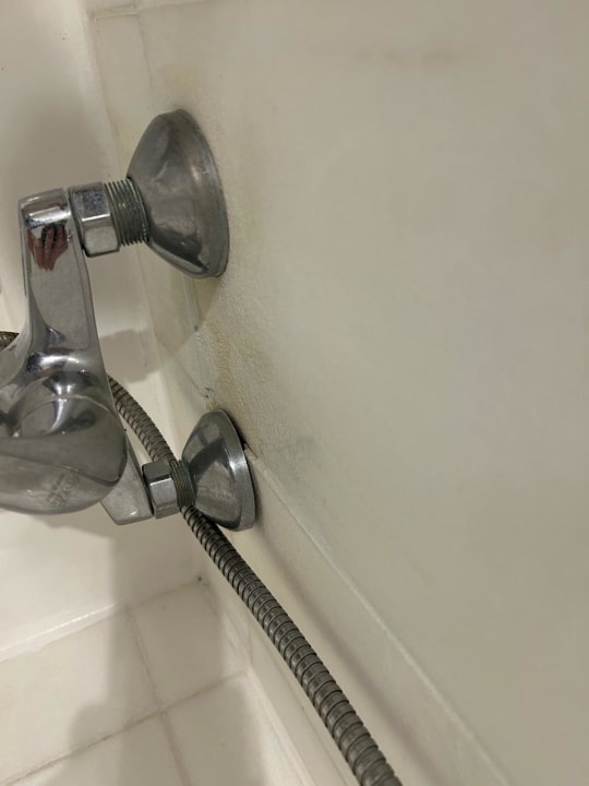 Zimmer Sunshine Rhodes