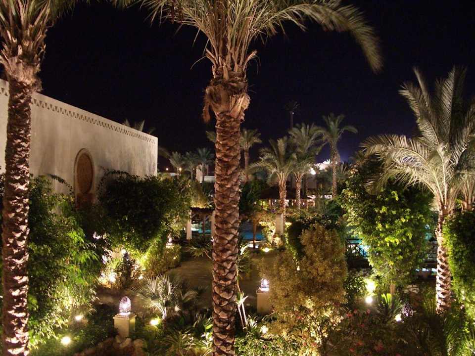 Abendstimmung Ghazala Gardens