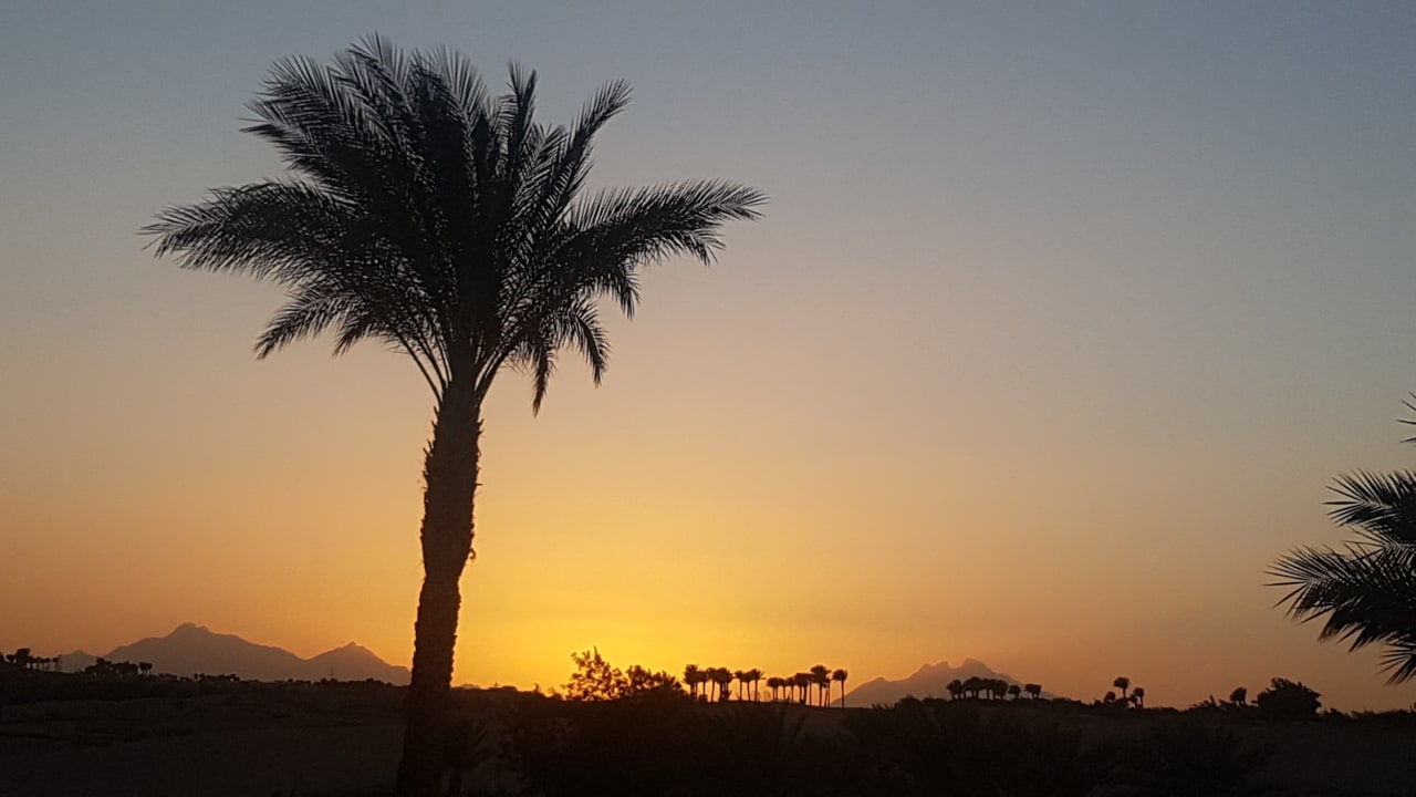 Ausblick Jaz Makadi Saraya Resort