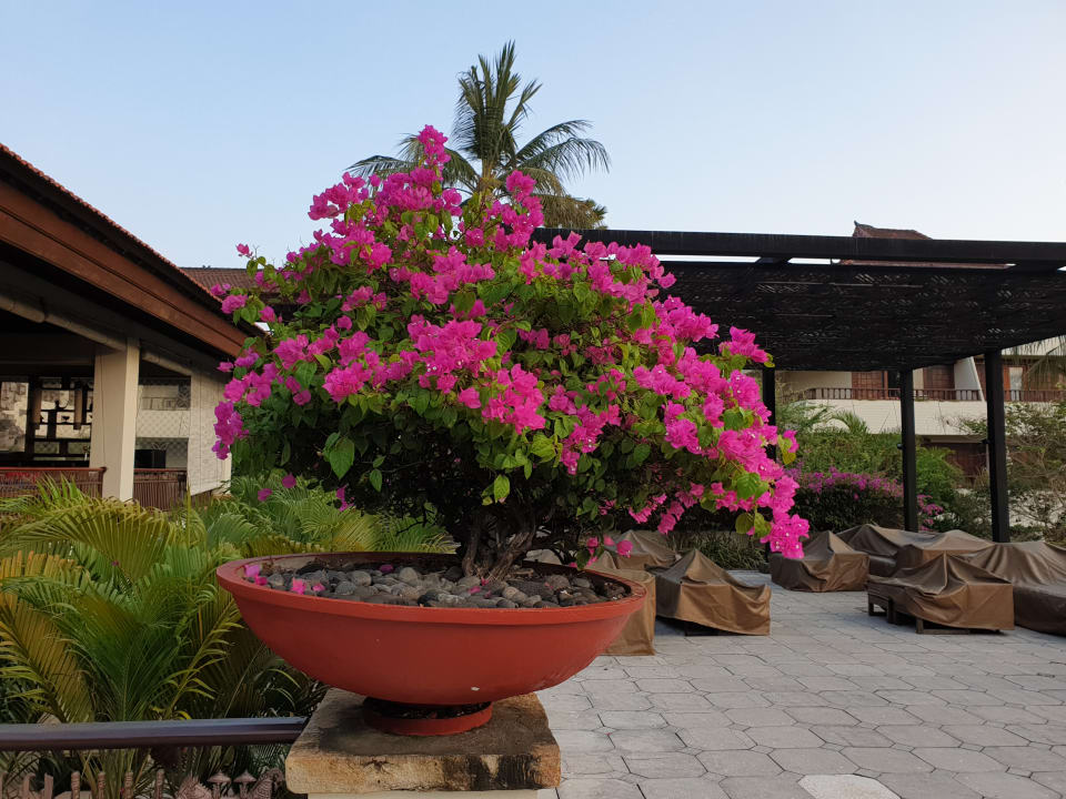 Sonstiges Nusa Dua Beach Hotel & Spa