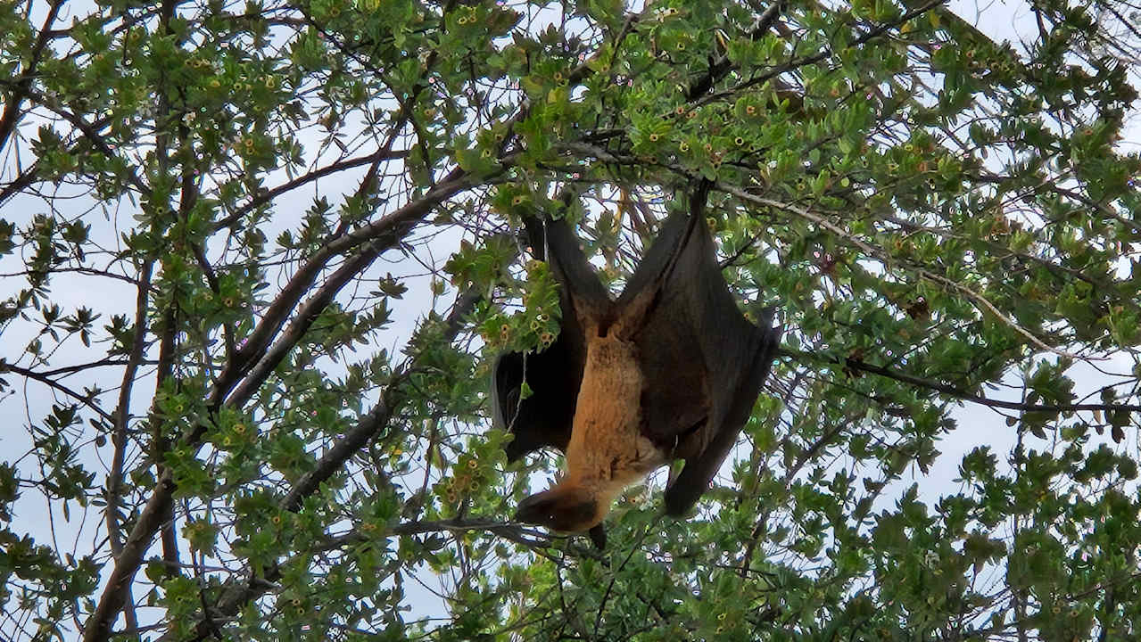 Sonstiges Kuredu Island Resort & Spa