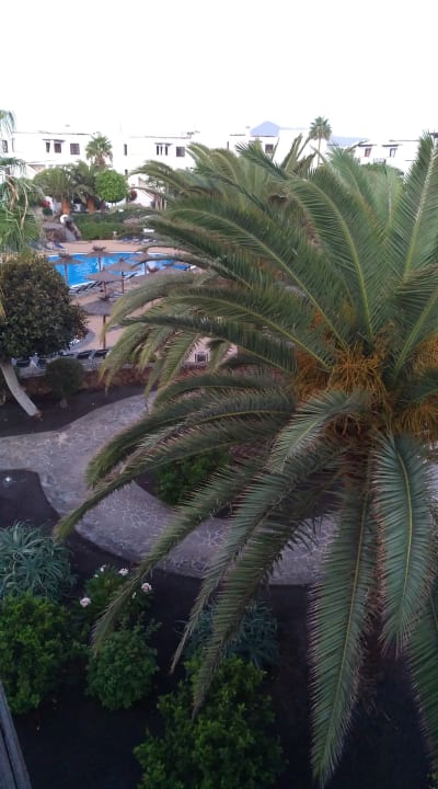 Gartenanlage allsun App.-Hotel Albatros