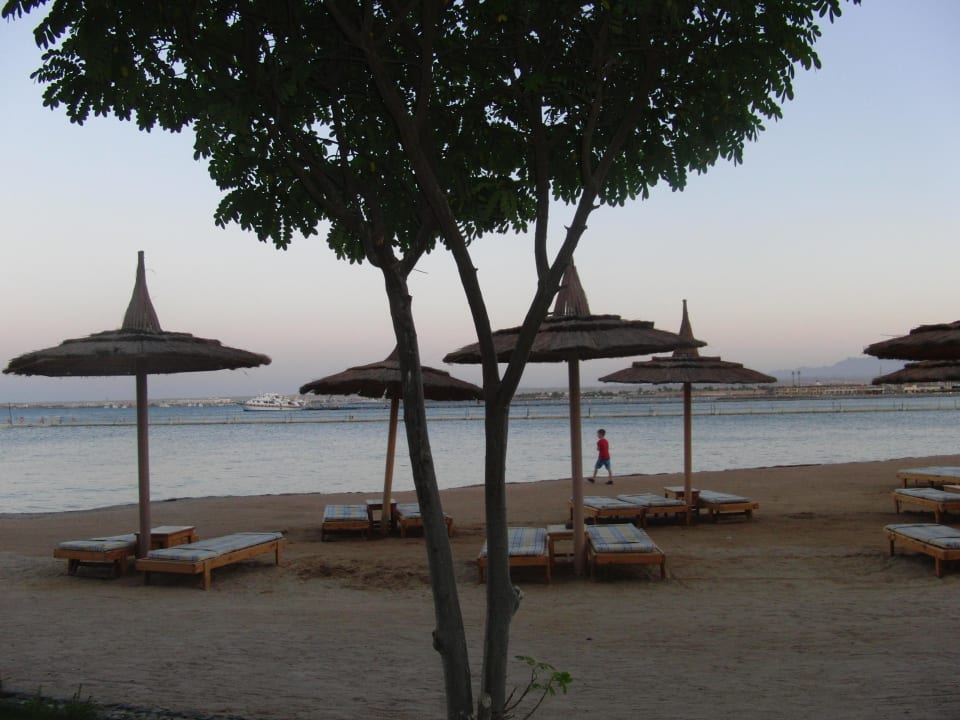 Hotel BEACH Albatros Resort & Spa     Beach Albatros Resort