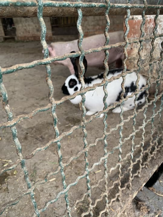 Sonstiges Wiesenberghof