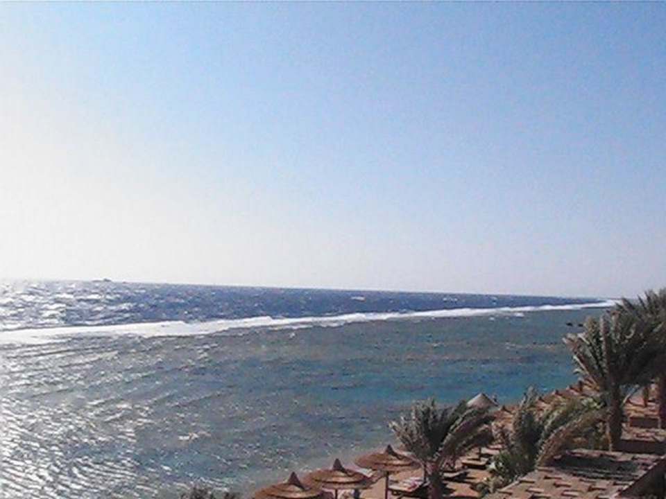 Blick aufs Meer Hotel Hauza Beach Resort