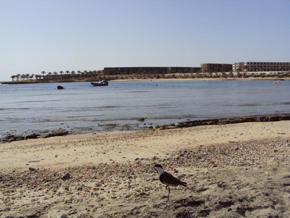 Spiaggia lato sinistro con ospite Brayka Bay Resort