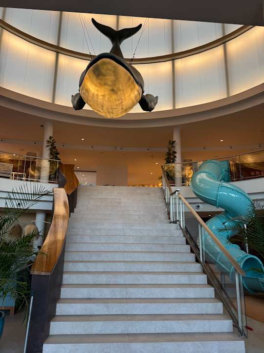 Lobby Iberostar Waves Gaviotas Park