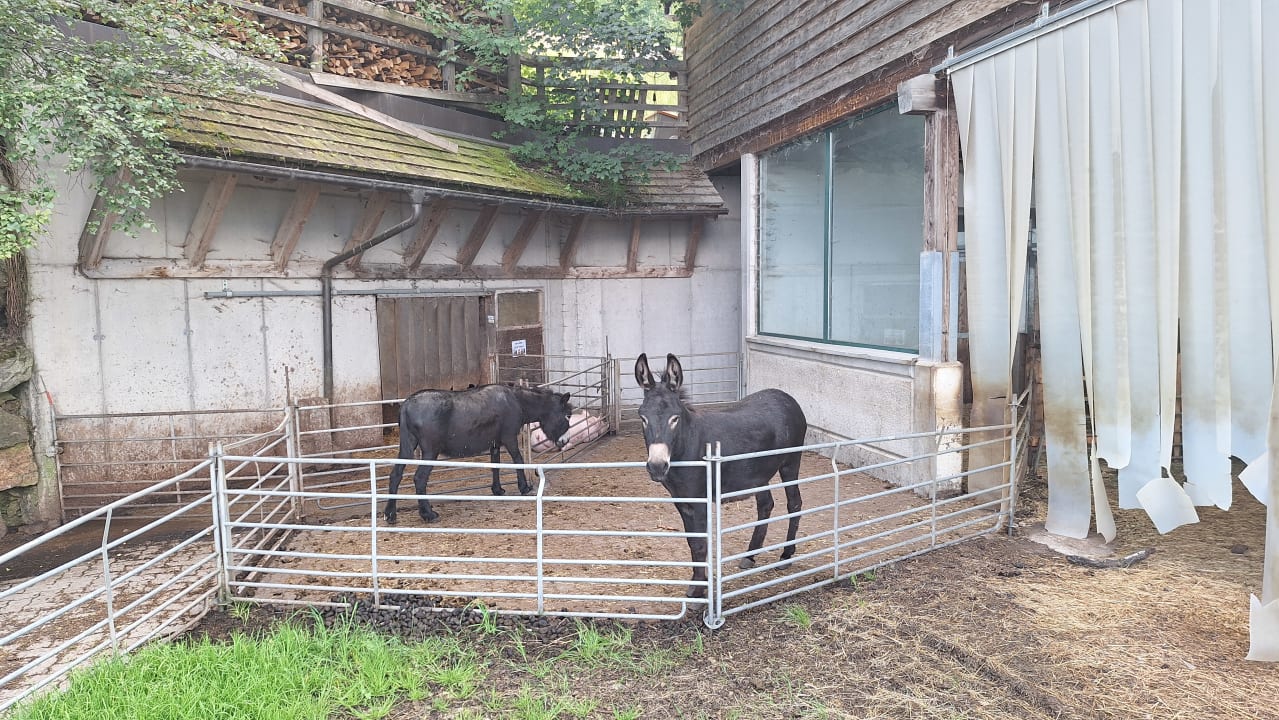Sport & Freizeit Hotel Schröckerhof