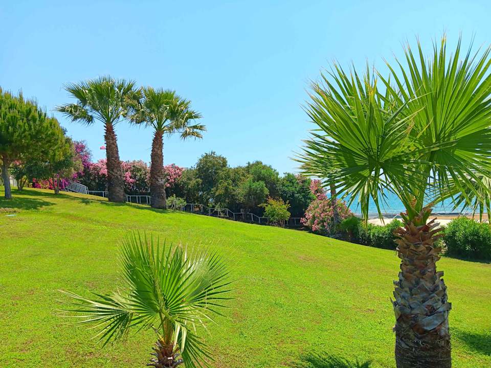 Gartenanlage allsun Numa Club Side