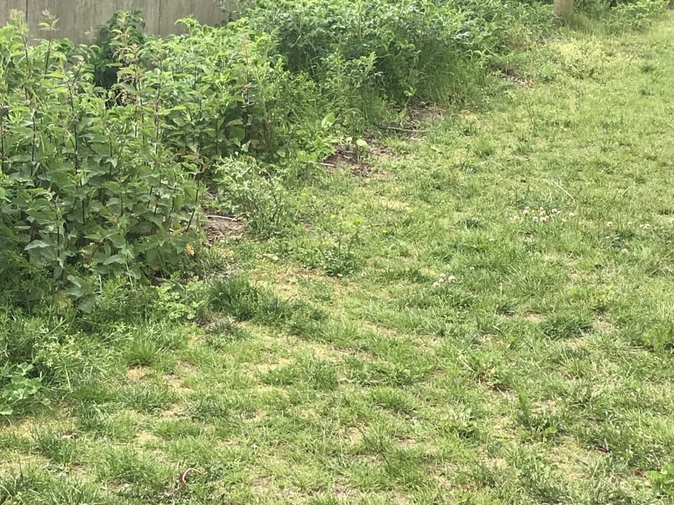 Gartenanlage BEECH Resort Boltenhagen