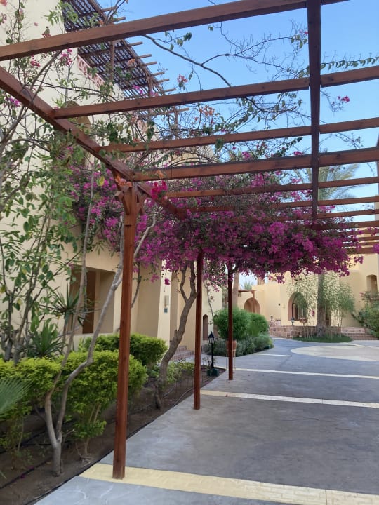 Außenansicht Steigenberger Coraya Beach - Adults only