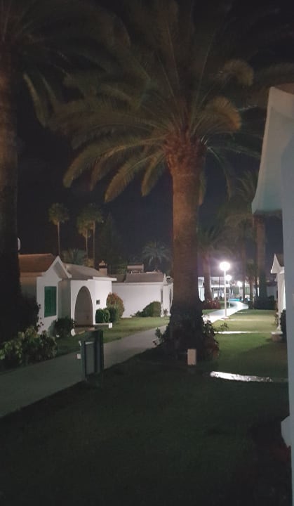 Außenansicht Canary Garden Club