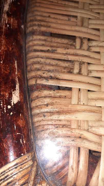 Lobby Hotel Southern Palms Beach Resort