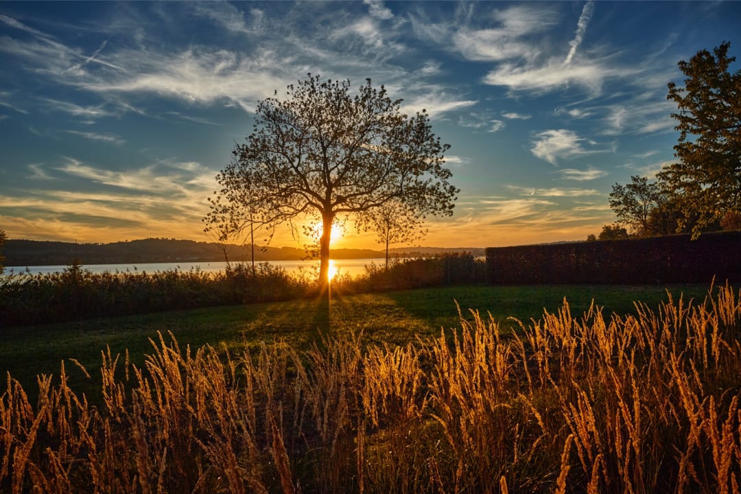 Ausblick Sonne Seehotel
