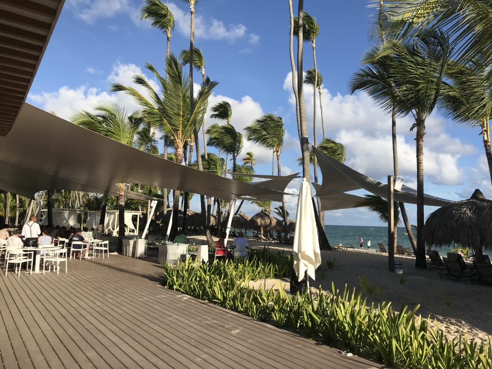 Gastro TRS Turquesa Hotel - Adults only