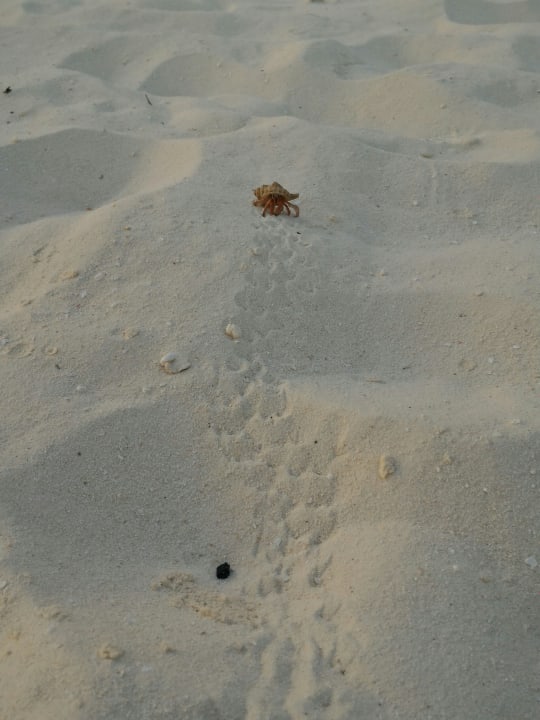 Strand Adaaran Select Meedhupparu Island Resort - Premium All Inclusive