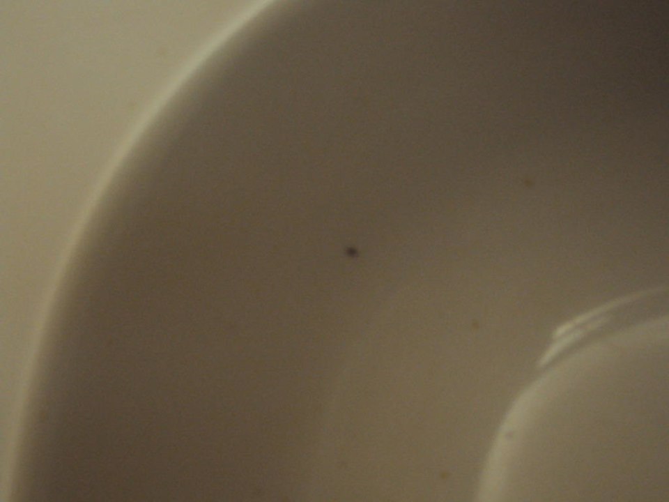 Wasserbecken Sharm Resort