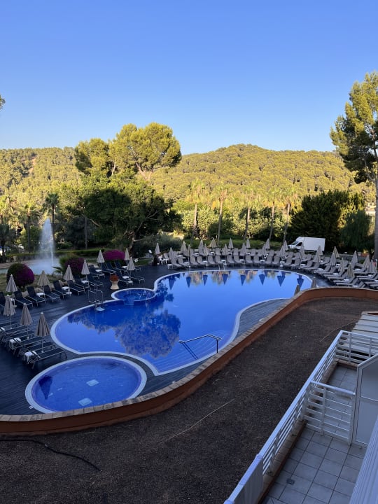 Pool Ona Palmira Paguera