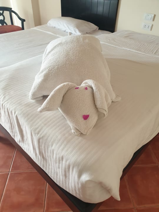 Zimmer Three Corners Sea Beach Resort