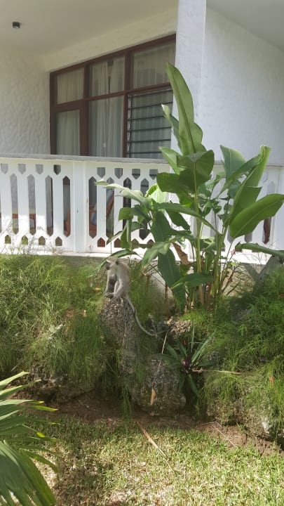 Sonstiges Travellers Beach Hotel & Club