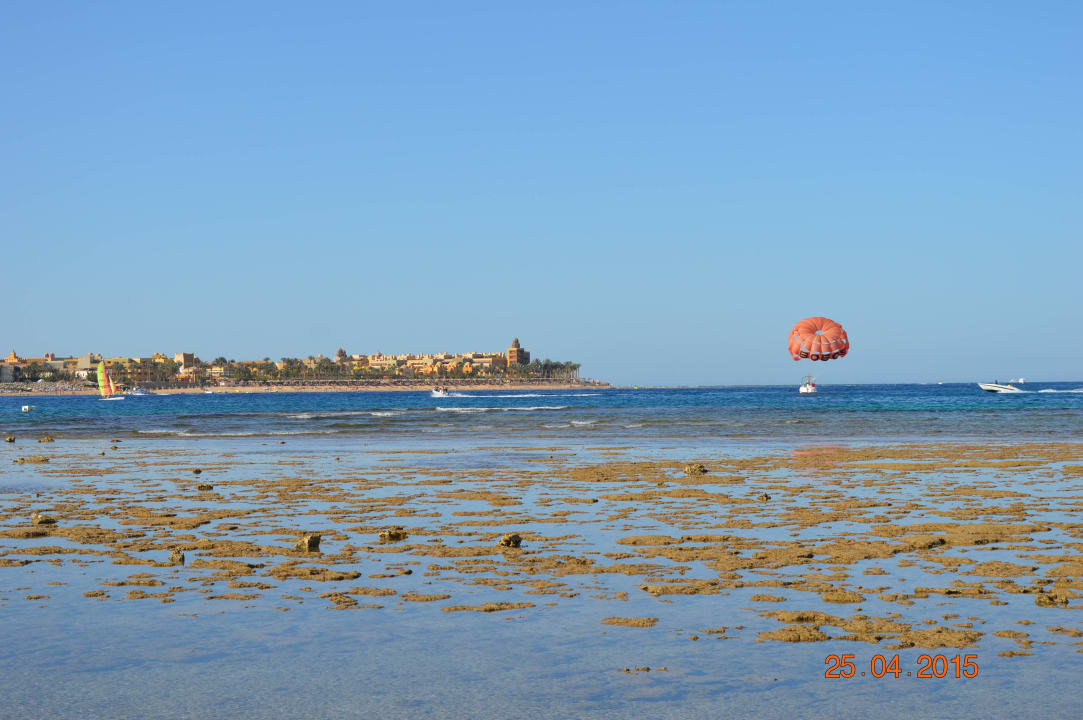 Морские обитатели  Jaz Makadi Oasis Resort
