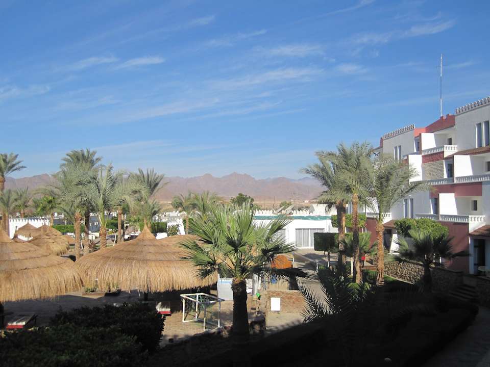 Garten Albatros Sharm Resort