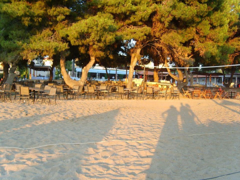 Oberste Teil des Strandes Hotel Portes Beach