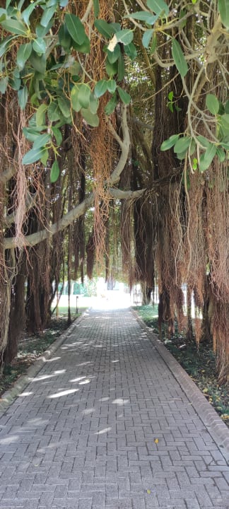 Gartenanlage Gloria Serenity Resort