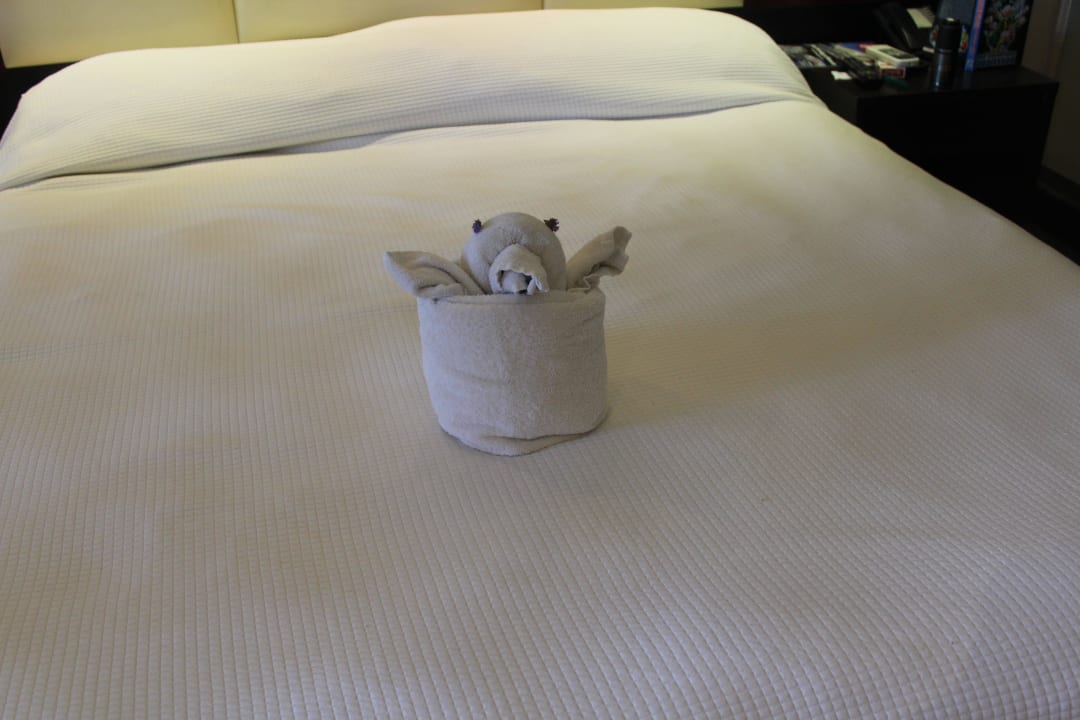 Handtuchüberraschung TUI BLUE Oceanis Beach and Spa Resort