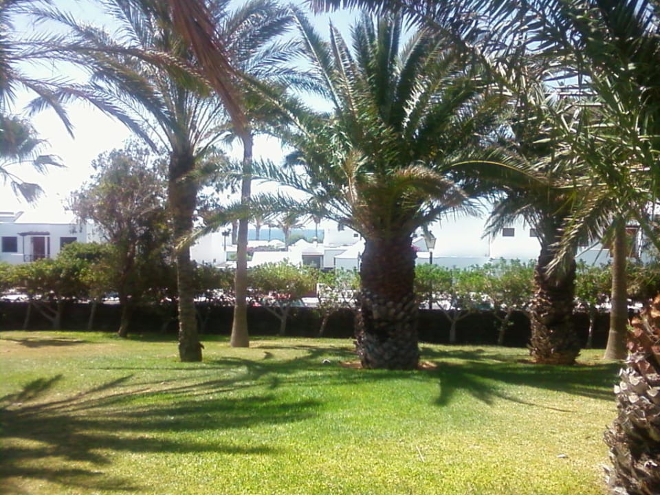 Blick auf die Gartenanlage Relaxia Olivina