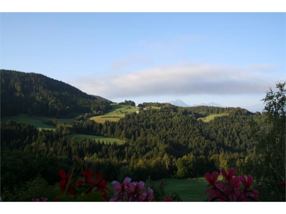 Ausblick Steinerhof in Hafling
