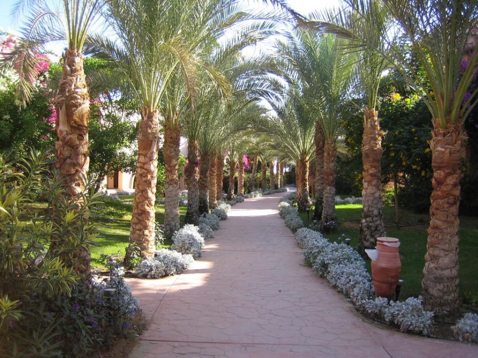 Garten Dream Lagoon Resort & Aqua Park