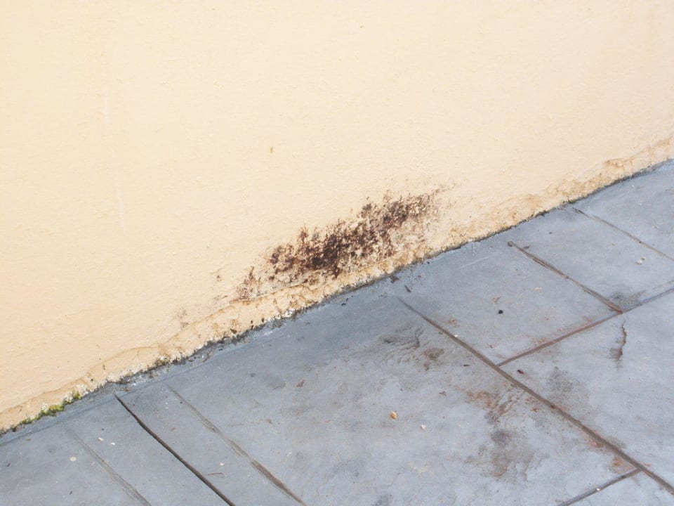 Wand des Hotels Ilios K Village Resort