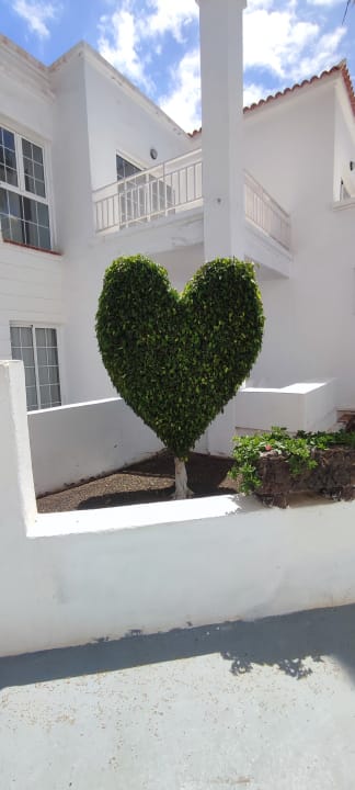 Gartenanlage LABRANDA Bahía y Villas Fañabé
