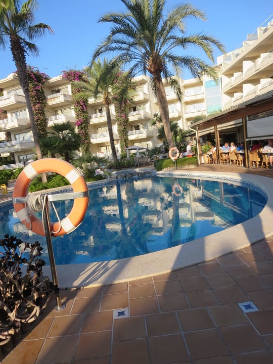 Pool mit Restaurant am rechten Bildrand VIVA Golf - Adults only 18+