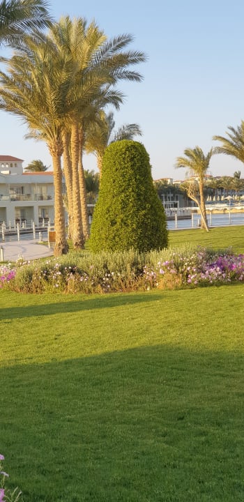 Gartenanlage Pickalbatros Dana Beach Resort - Hurghada