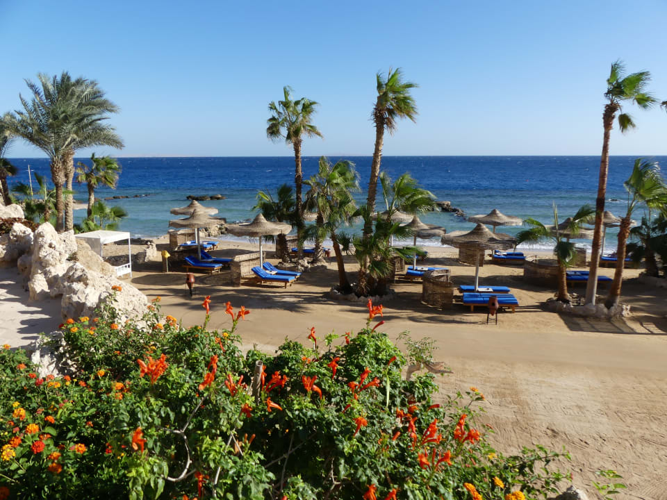 Strand Pickalbatros Citadel Resort