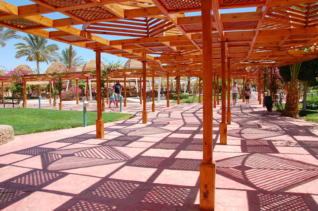 Gartenanlage Desert Rose