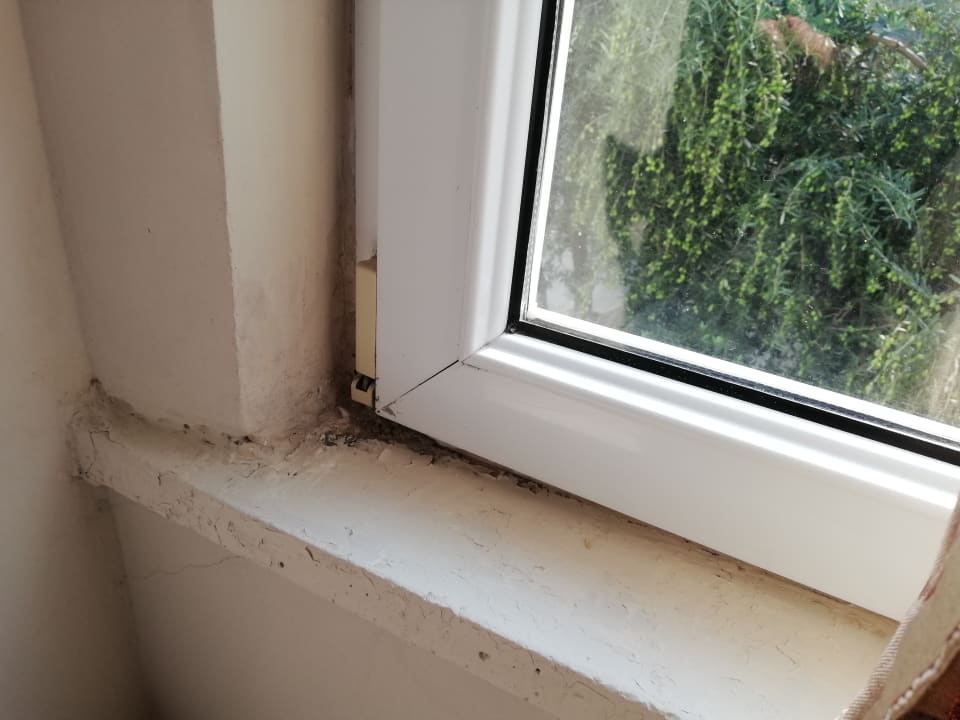 Zimmer Royal Atlantis Beach Hotel